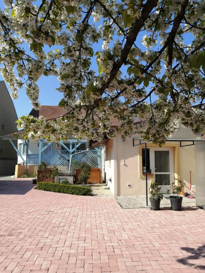 Anna Vendeghaz Apartment Keszthely Luaran gambar